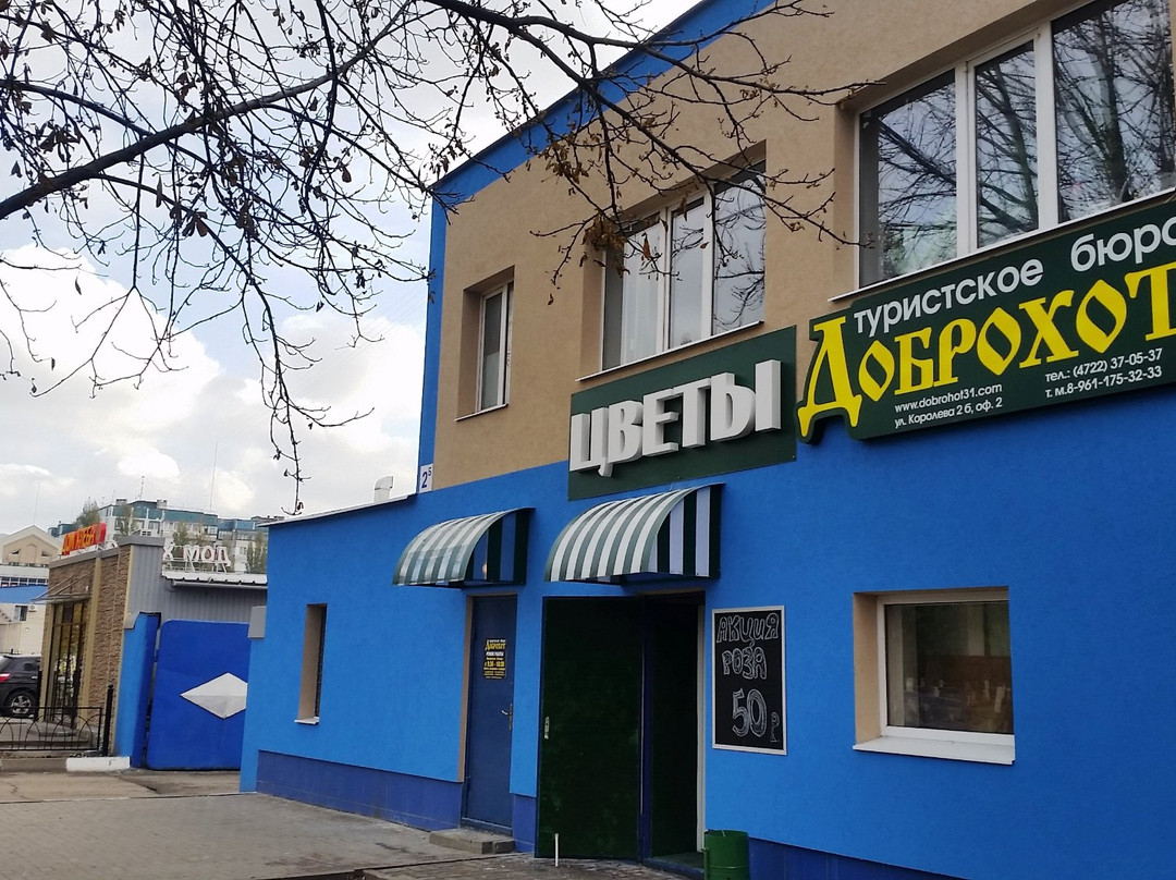 Tourist Office Dobrokhot - Day Tours景点图片