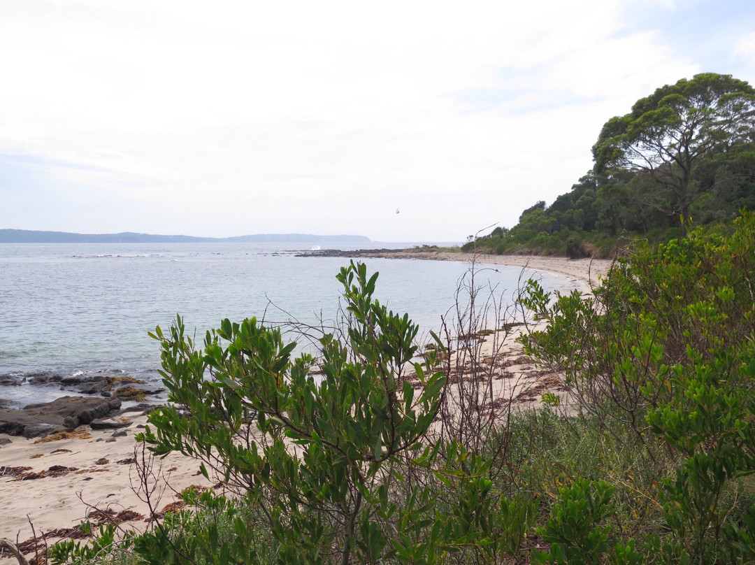 Broulee Island Walk景点图片