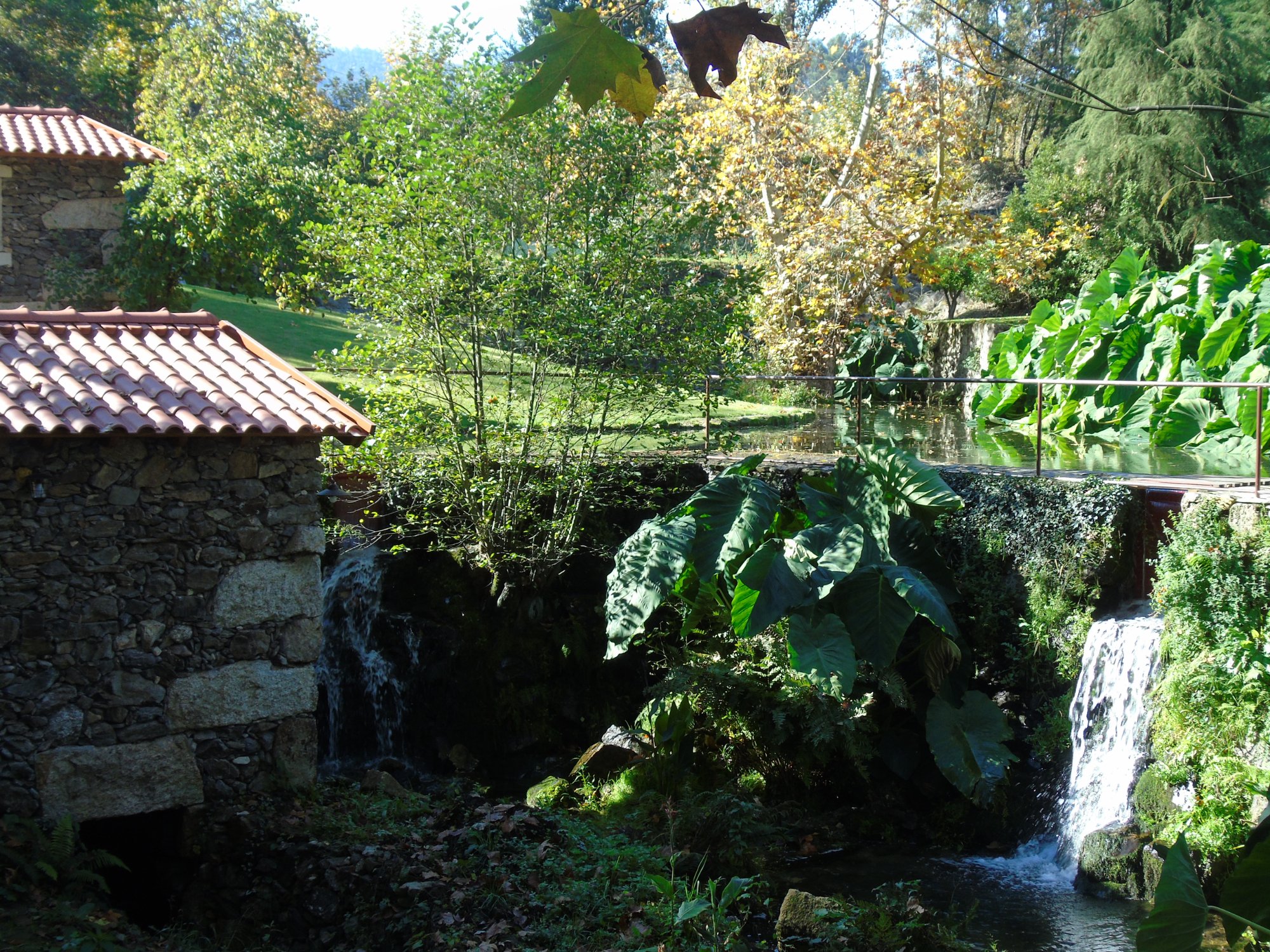 Quinta da Chouza-泳池