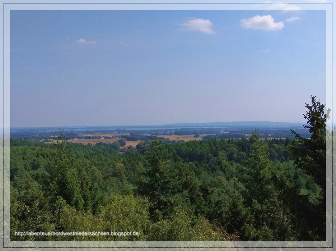 Aussichtsturm Mordkuhlenberg景点图片