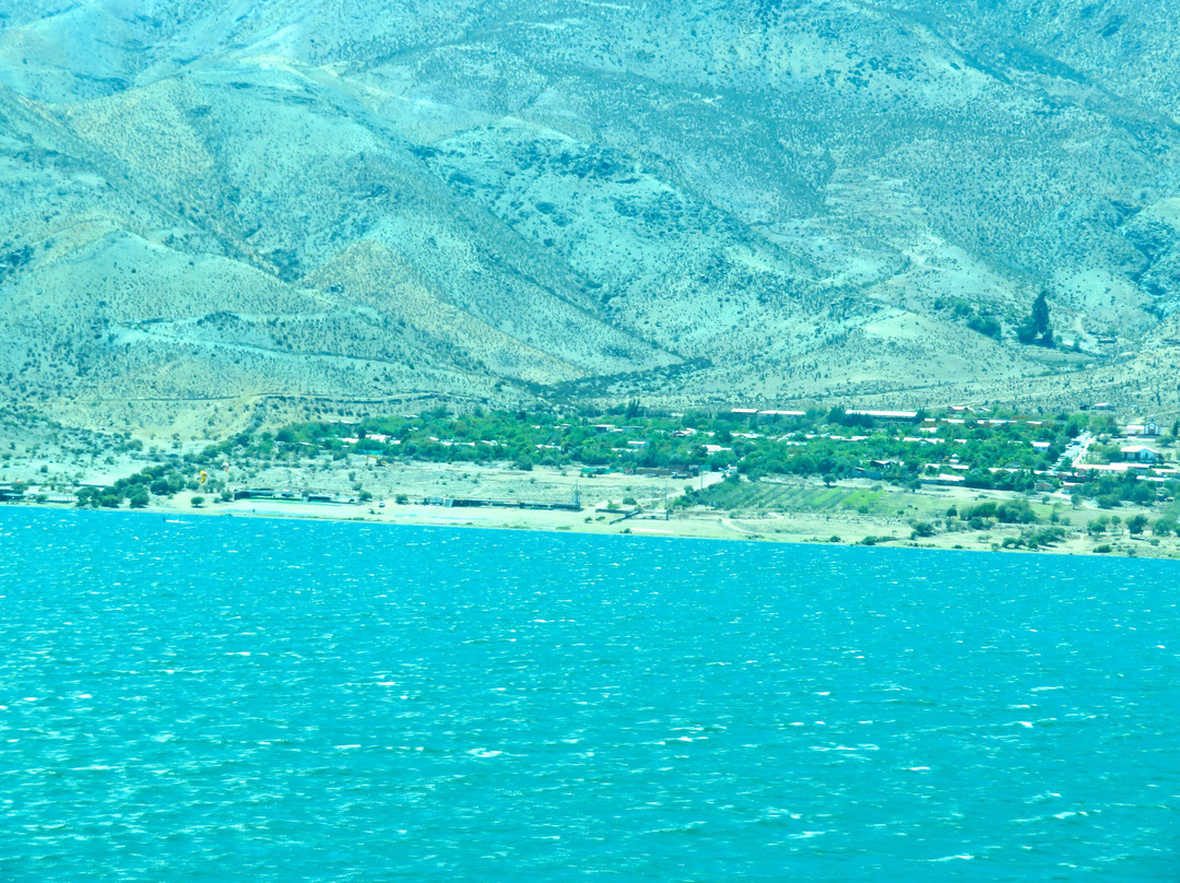 Viña Falernia-Vicuna必去景点