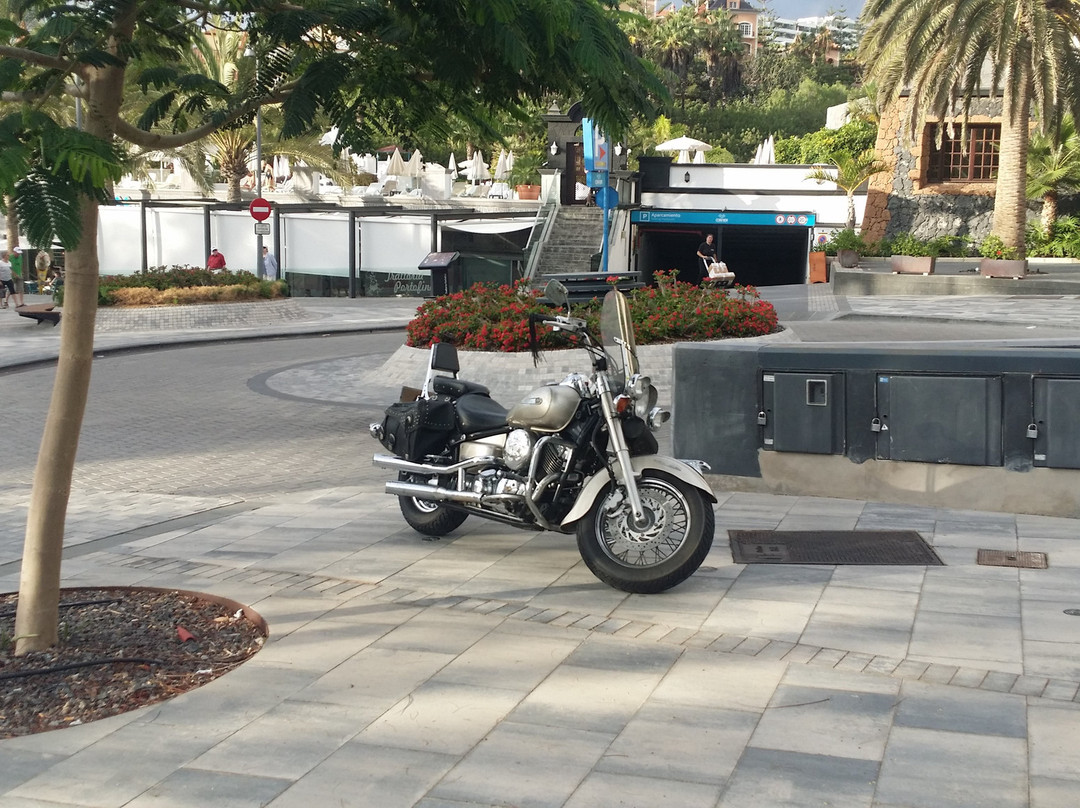 Tenerife Custom Cruisers-特内里费岛必去景点