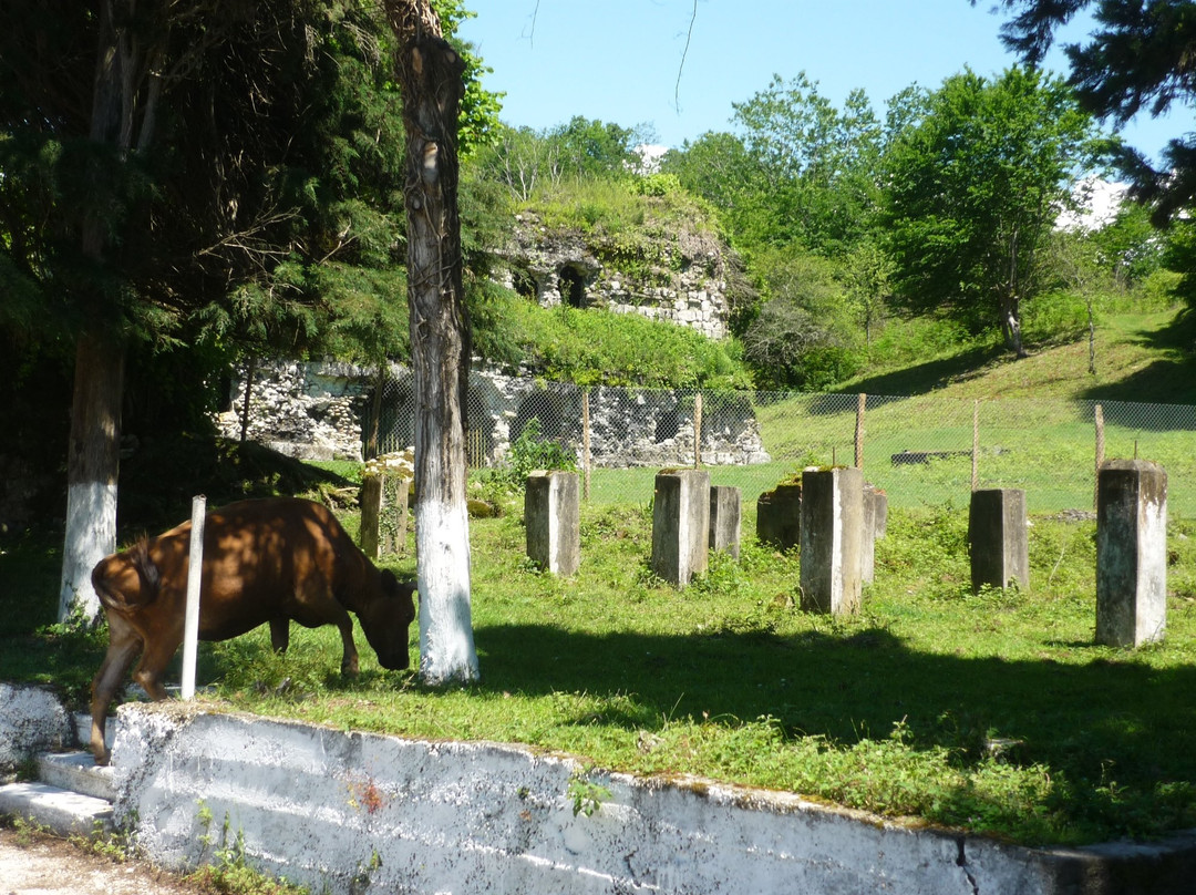 Miussera Temple-Gudaut'a必去景点