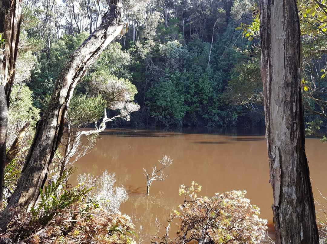 King Island Rambles-King Island必去景点
