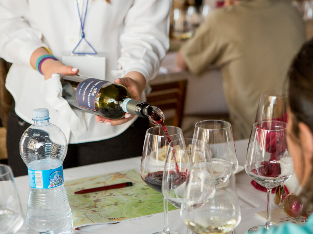 Wine Tasting Experience-Castiglione Falletto必去景点