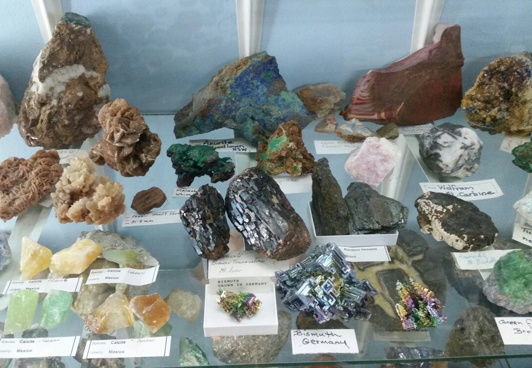 Griffiths' Sea Shell Museum & Marine Display景点图片