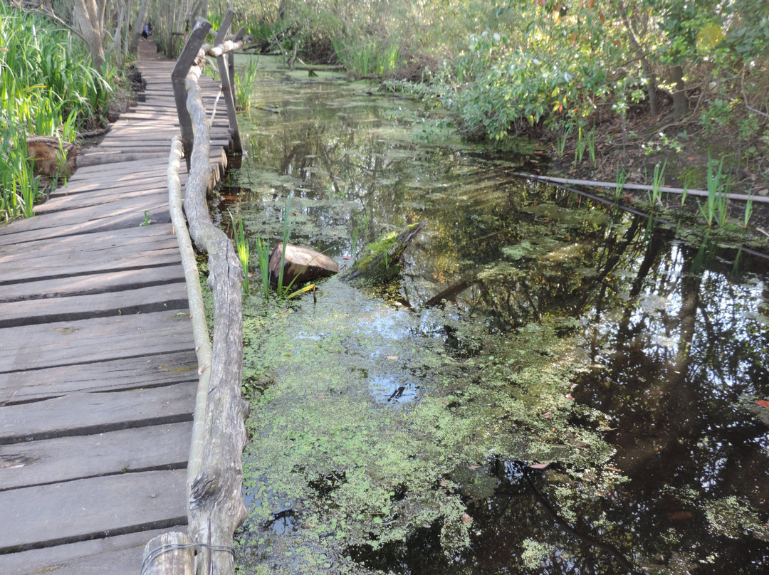 Reserva Municipal Refugio Natural Educativo Ribera Norte-Acassuso必去景点