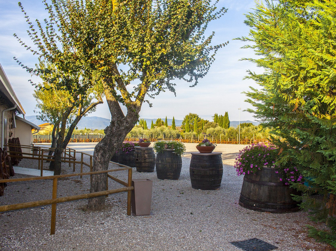 Il Museo ai Borghi-科尔托纳必去景点