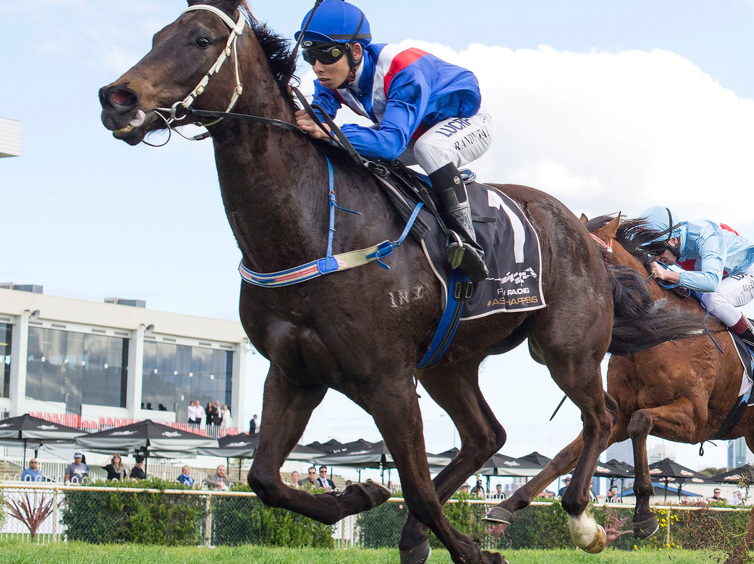 Belmont Park Racecourse景点图片