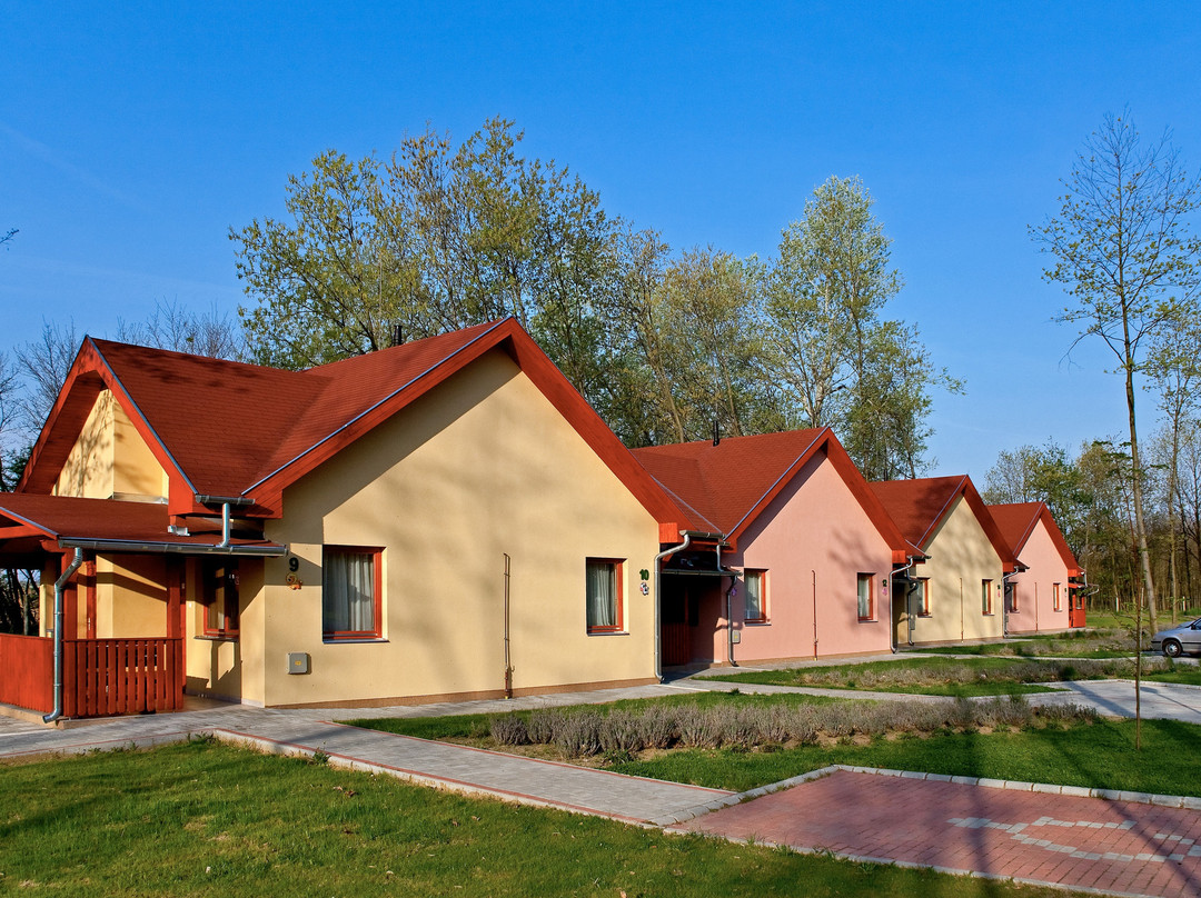 Sarkany Wellness & Spa主图