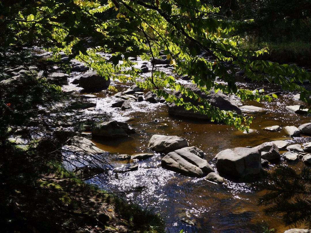 Parc des Sept-Chutes-Saint Georges必去景点