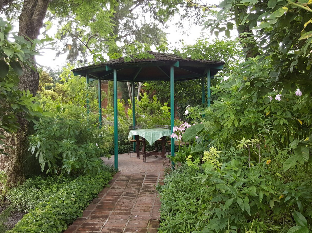 Francisco Pelaez Ethnobotanical Garden景点图片