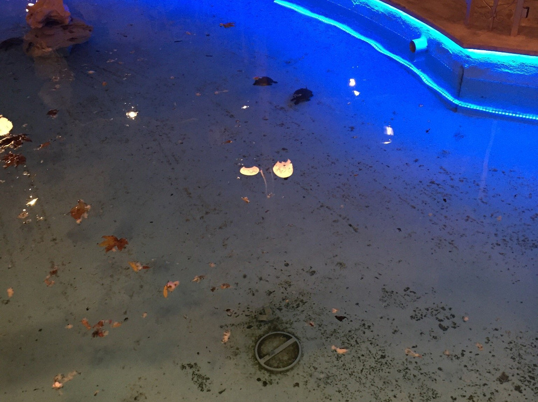 Kefalari餐馆和美食-Pantazis