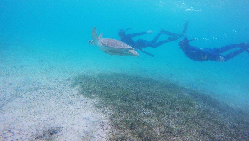 VITAL Freediving-圣约翰必去景点