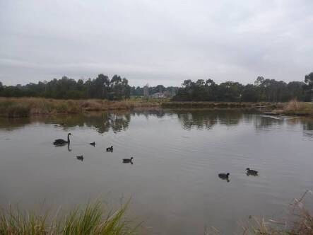 Frog Hollow Reserve-Endeavour Hills必去景点