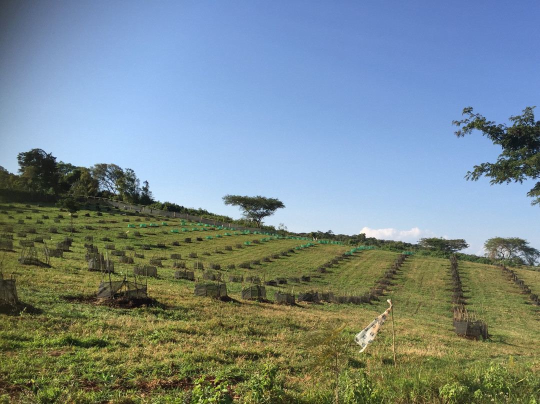 4 Wheeling Tanzania-卡拉图必去景点