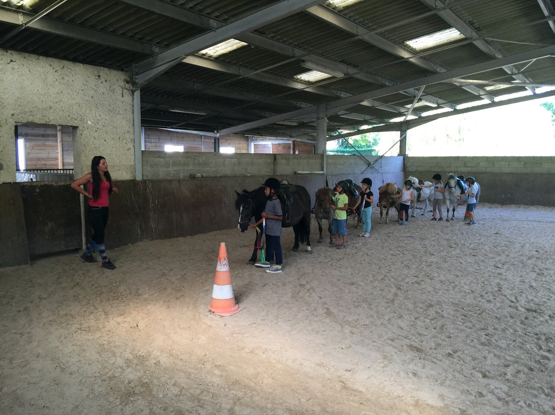 Centre equestre municipal ucpa de saint Medard en Jalles景点图片