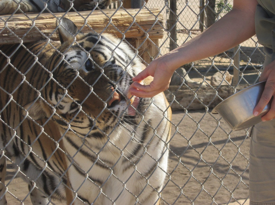 Hesperia Zoo-希斯皮里亚必去景点