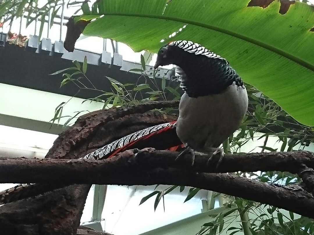 Selva Viva-圣地亚哥必去景点