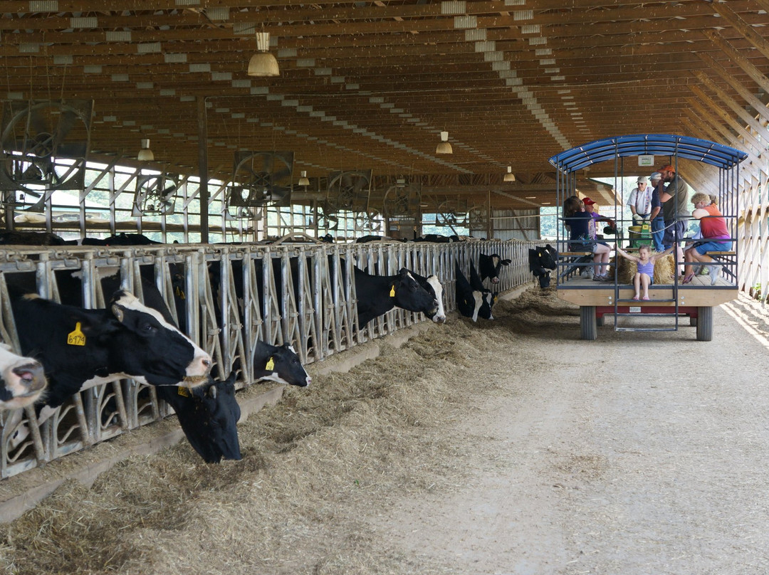 Hastings Dairy-Burton必去景点