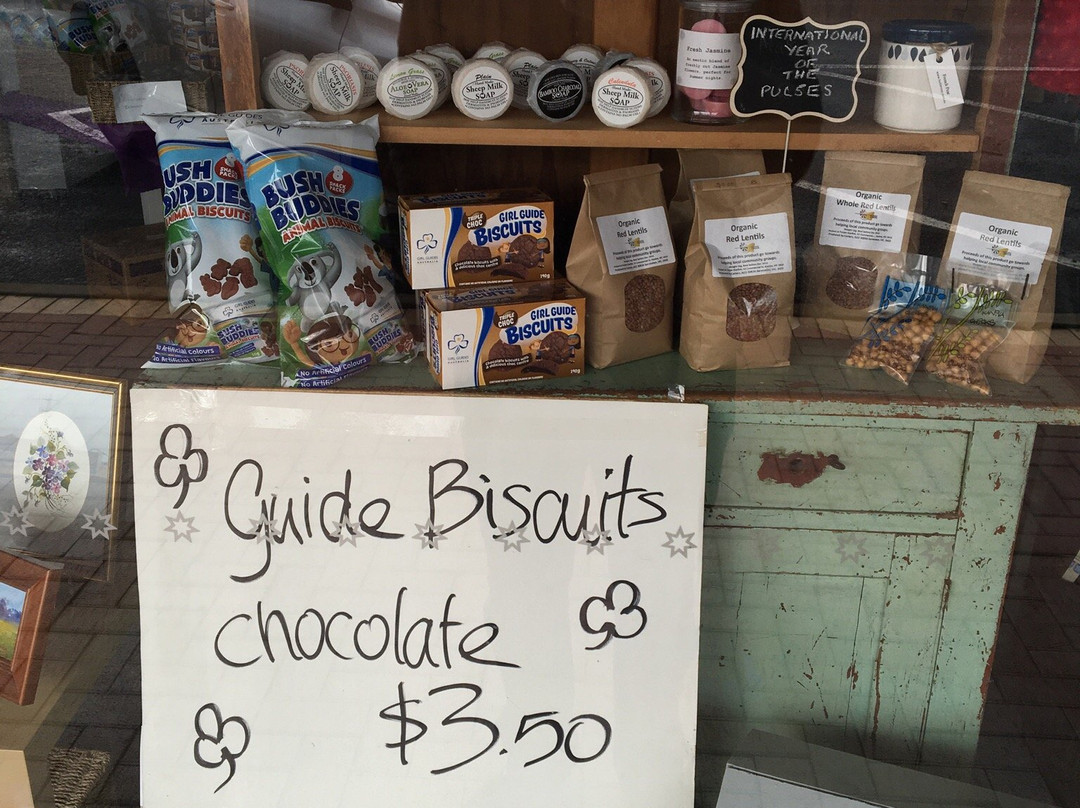 Kaniva旅游景点-Purple Starfish