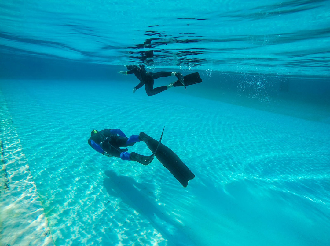 MAGMA Freediving School-拉哈雷斯必去景点