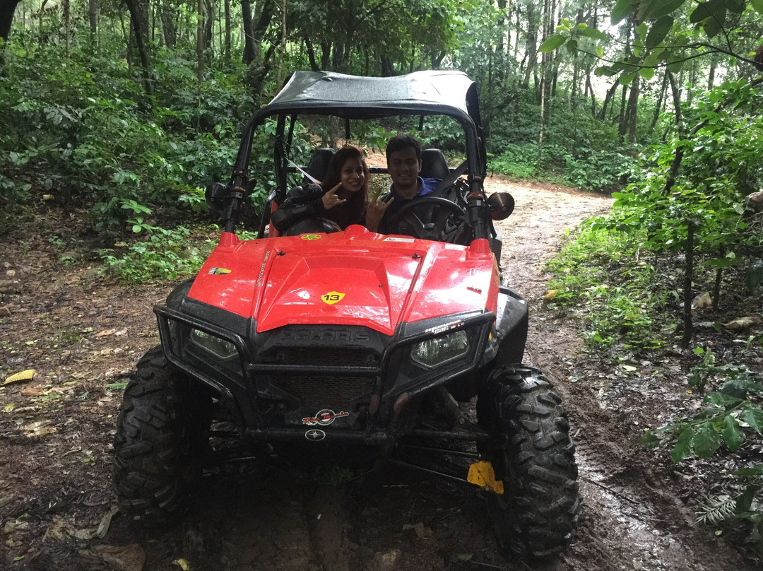 Dirt Mania Outdoor Adventures景点图片