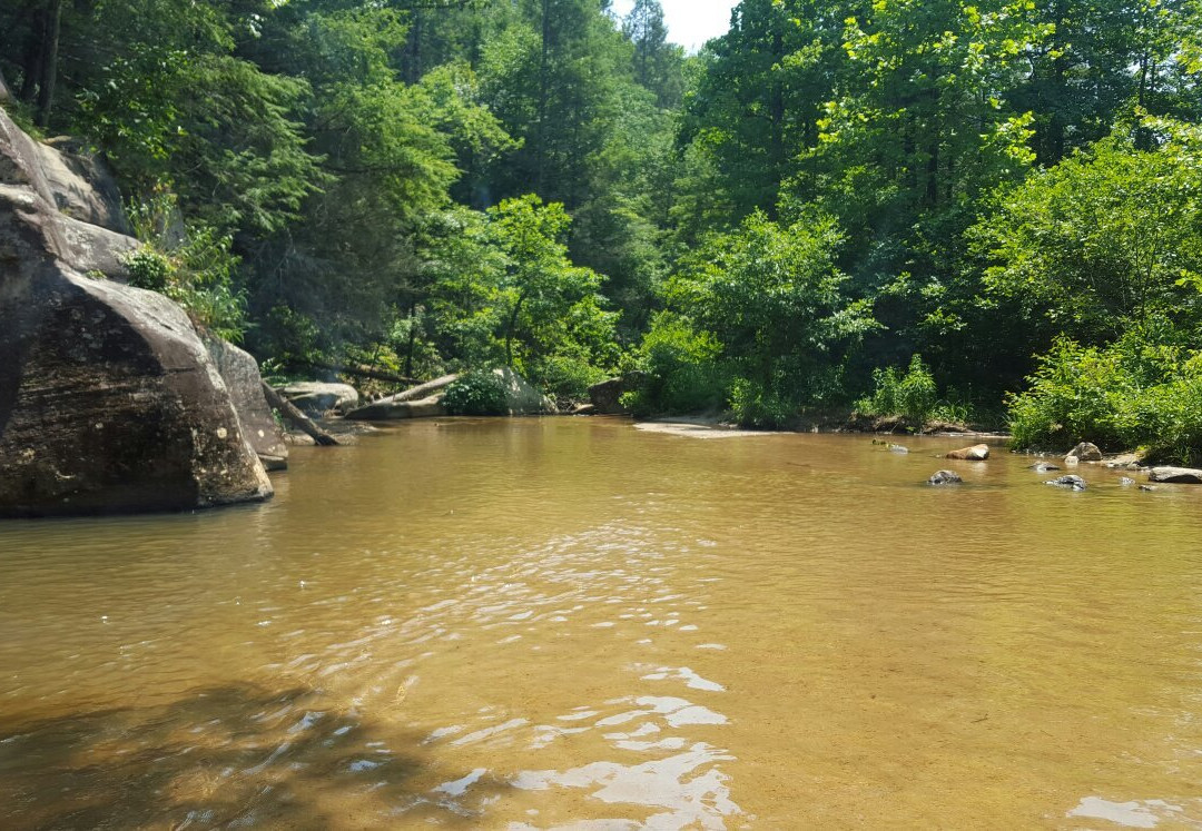 Long Shoals Wayside Park景点图片
