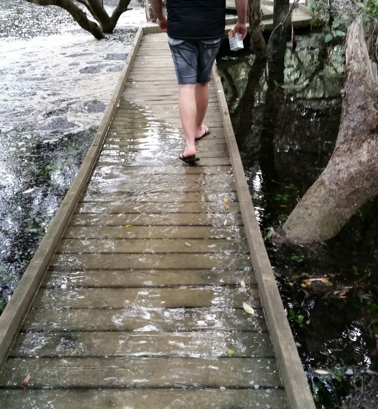 St Kilda Mangrove Trail and Interpretive Centre-圣基尔达必去景点