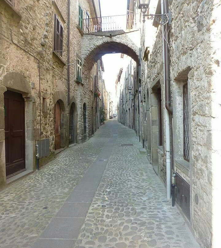 Centro Storico di Villafranca景点图片
