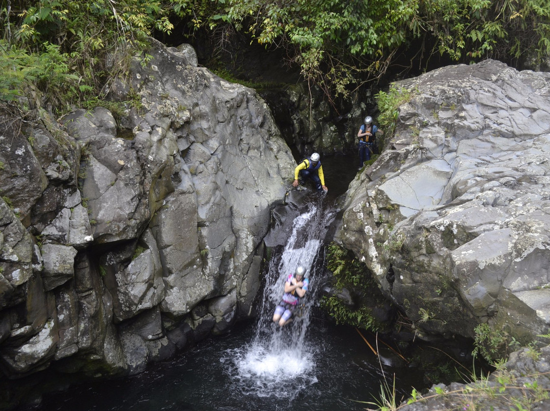 Baturraden Adventure Forest景点图片