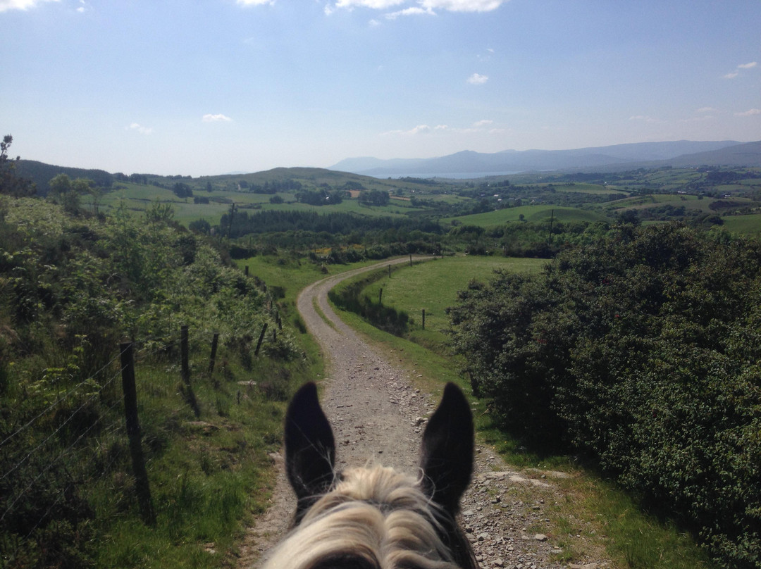 Bantry Pony Trekking景点图片