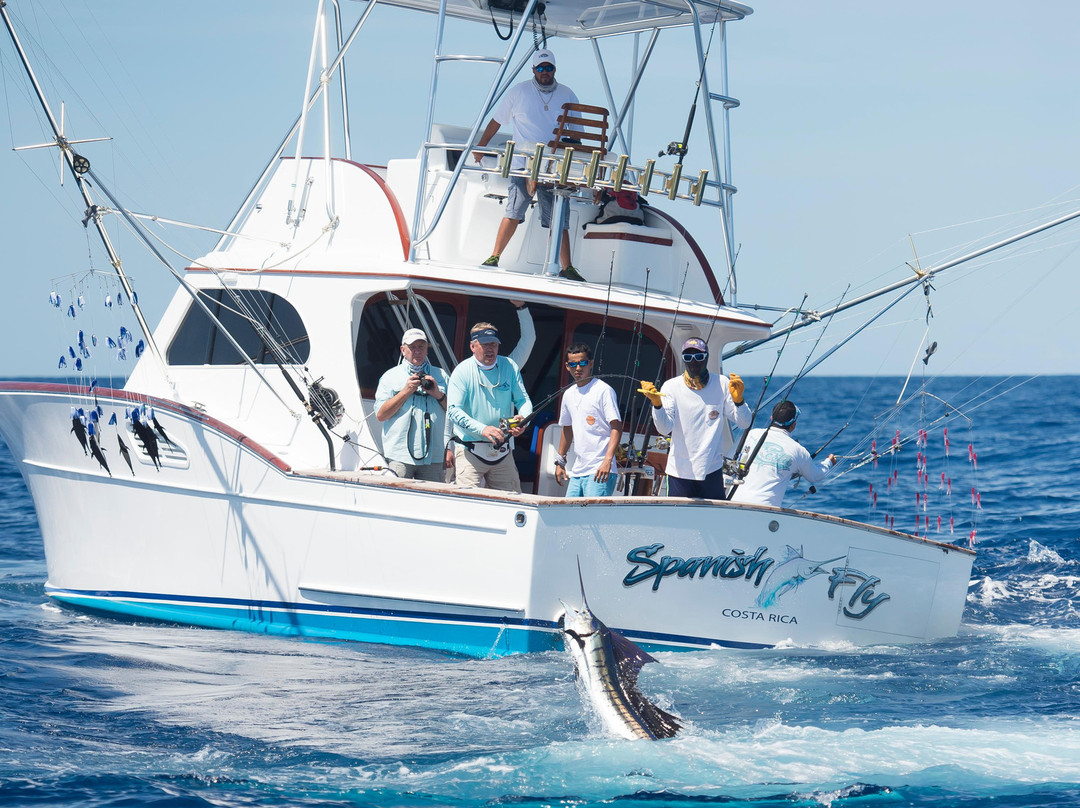 Maverick Sportfishing Charters景点图片