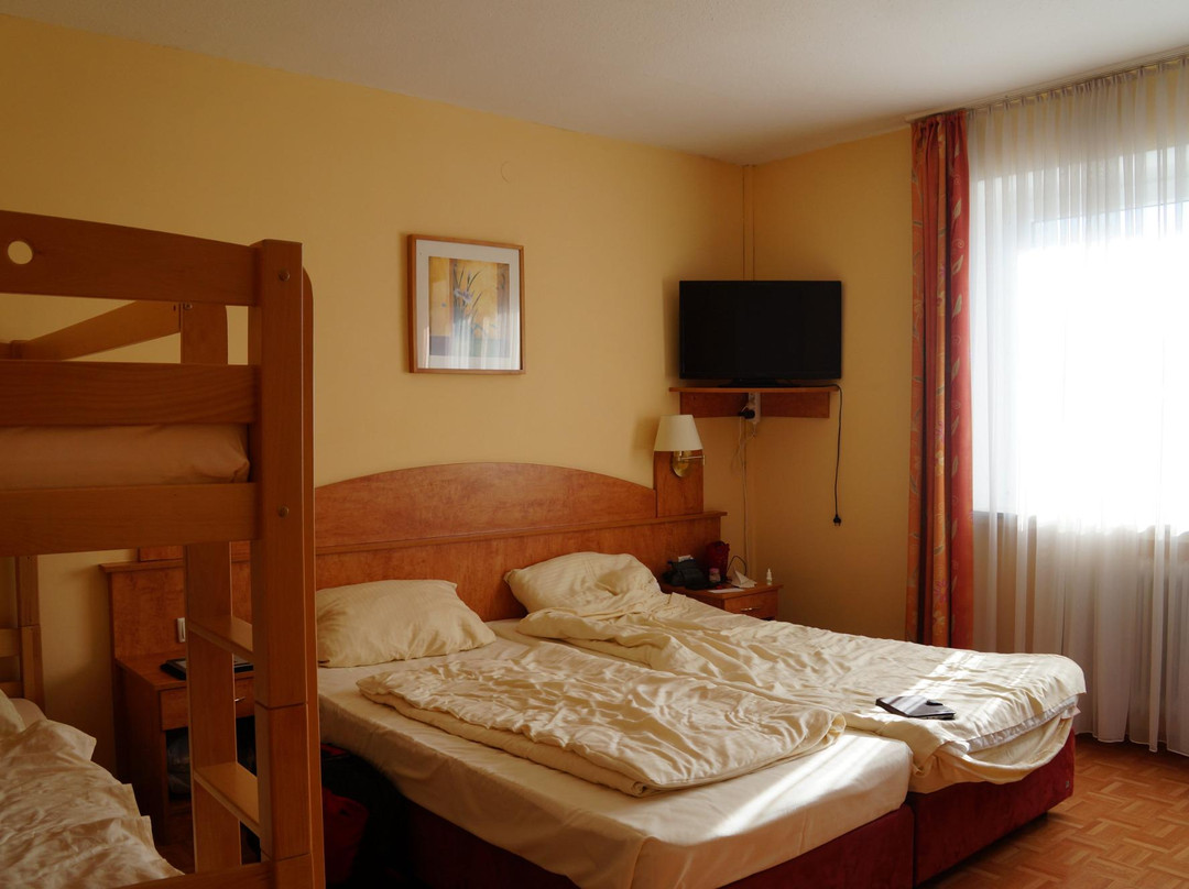 Hotel Gasthof Rose主图