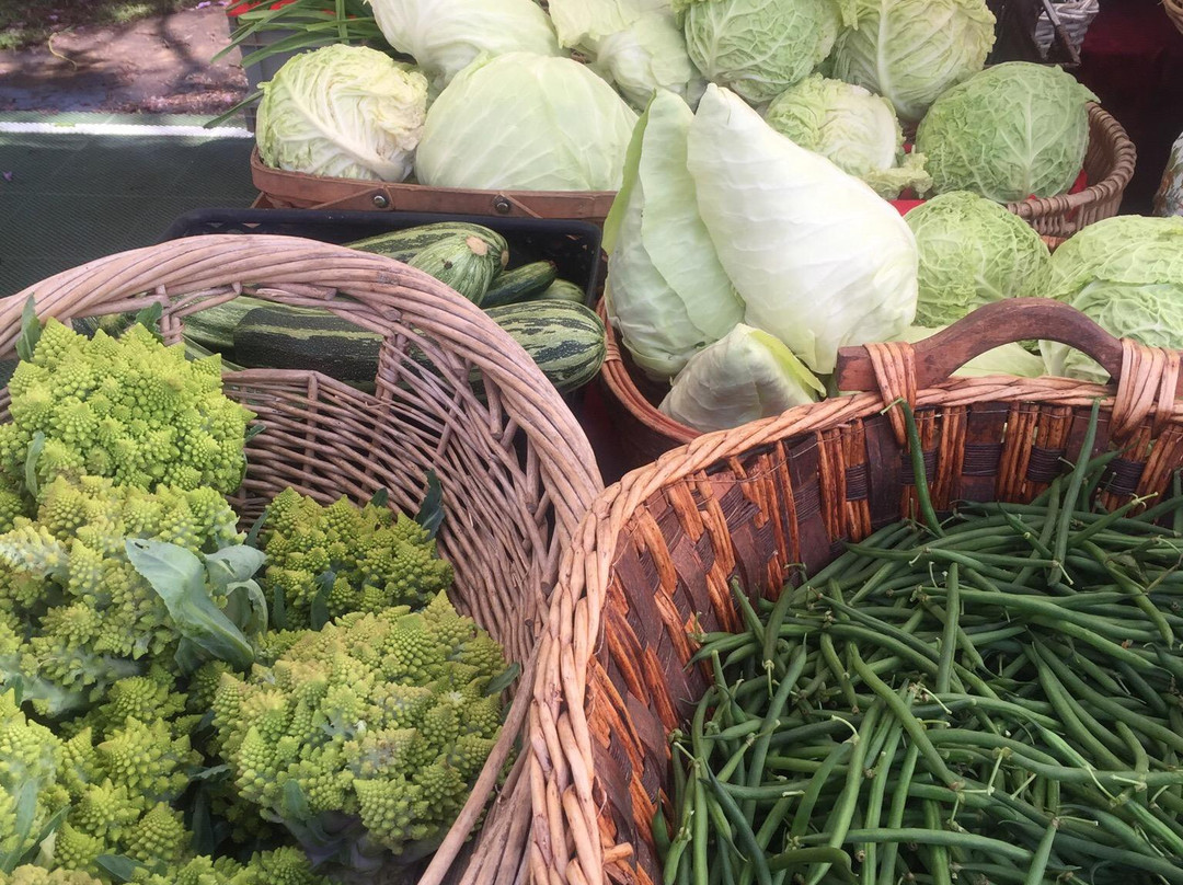 Waimea Town Market-卡慕也拉必去景点