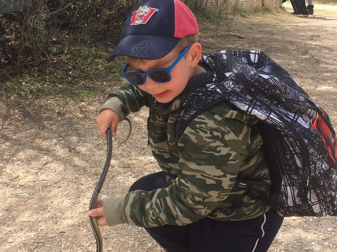 Narcisse Snake Dens-Narcisse必去景点