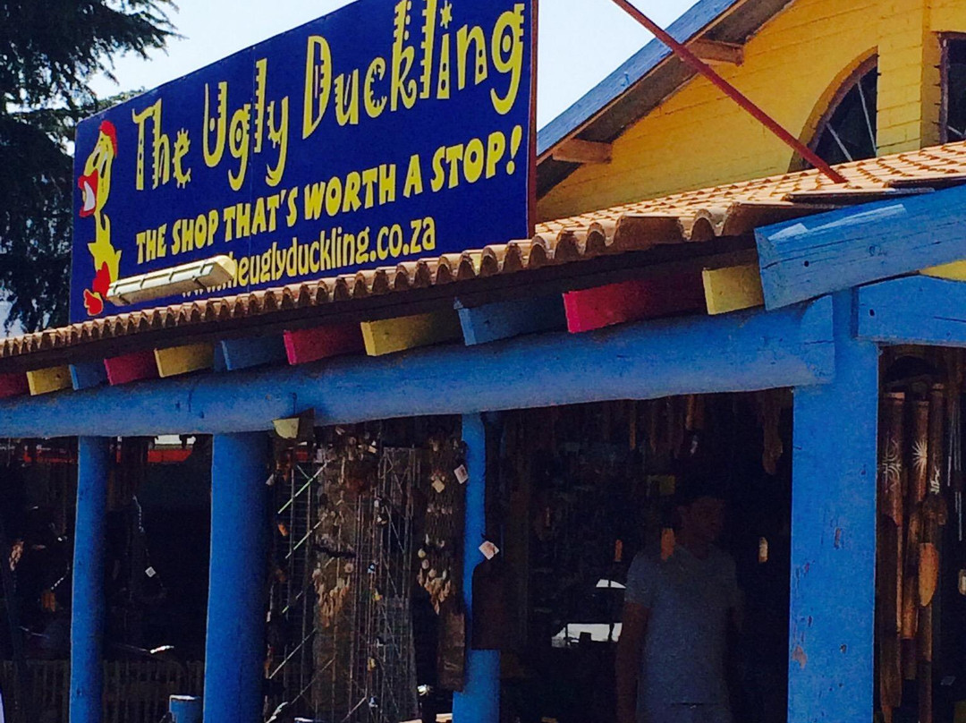The Ugly Duckling-克拉伦斯必去景点
