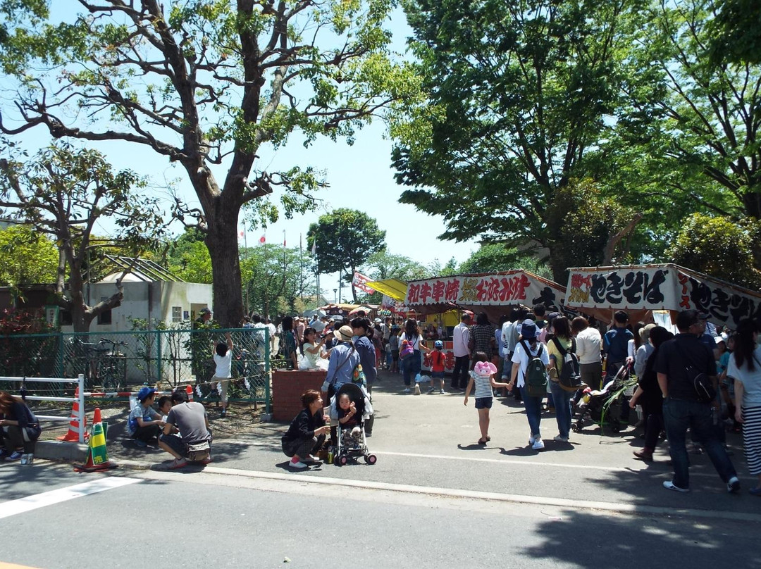 Bamba Park-大矶町必去景点