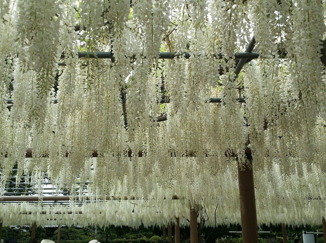 Mandaraji Park景点图片