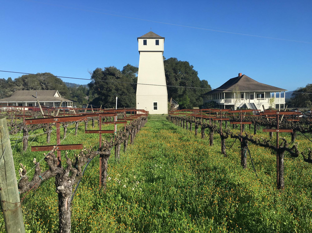 Handley Cellars Winery景点图片