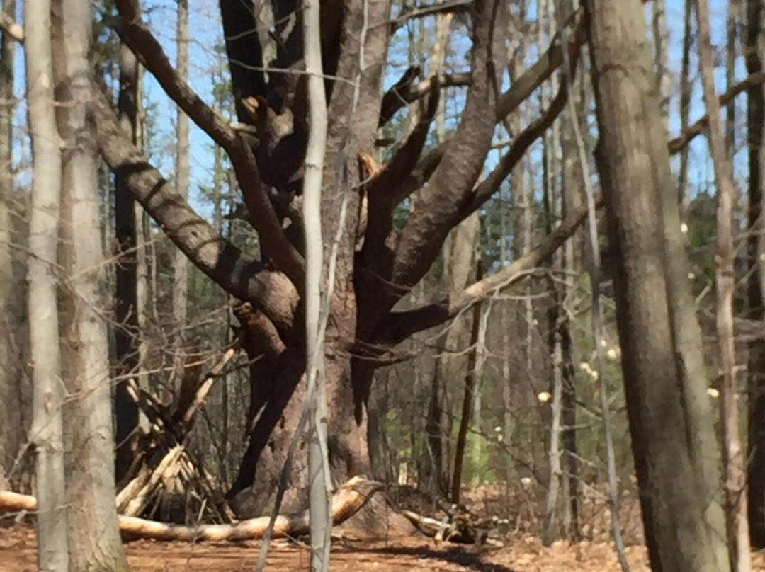 Red Rocks Park-南伯灵顿必去景点