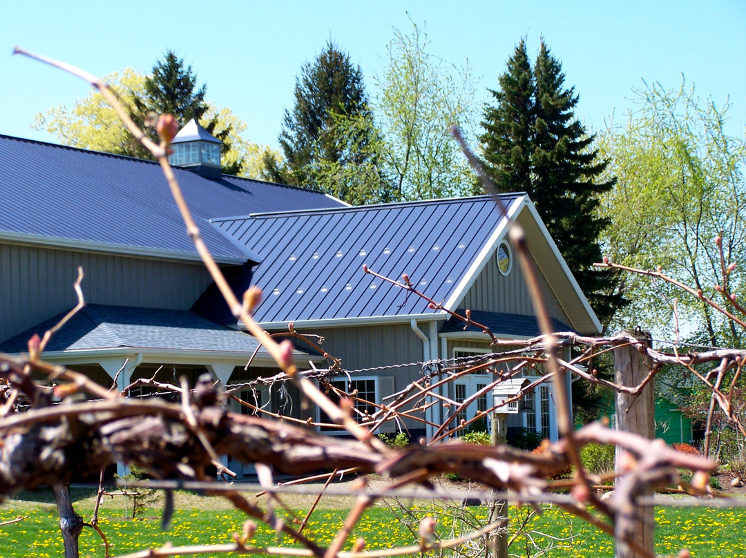Liberty Vineyards Winery景点图片
