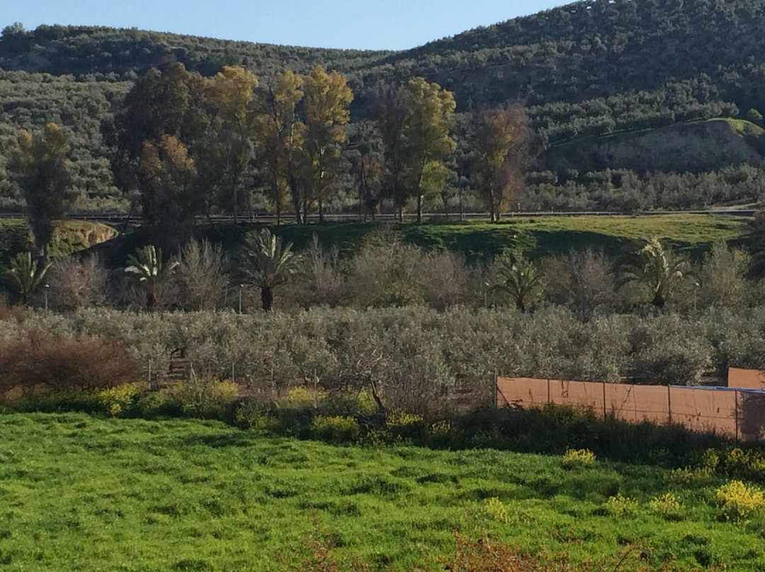 Hospederia Del Carmen主图