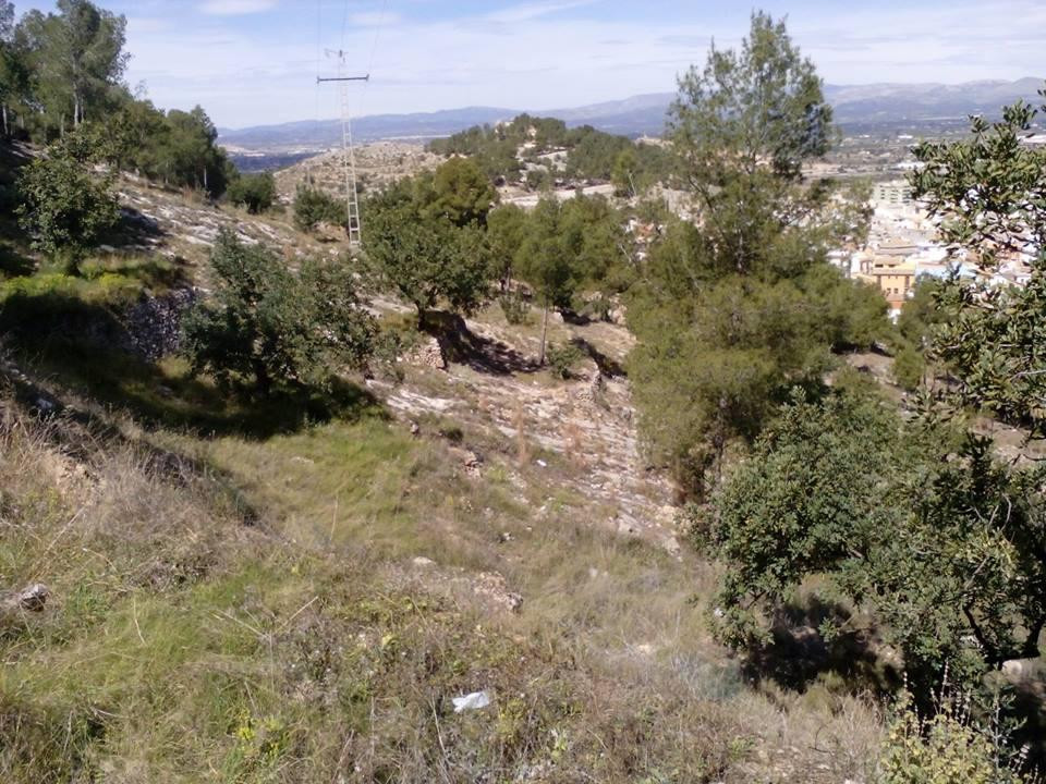 Poblado Iberico Edeta景点图片