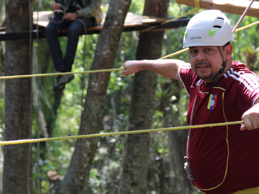 Jardin Botanico de Merida-梅里达市必去景点