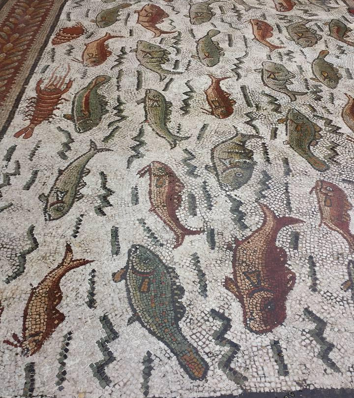 National Museum of Antiquities of Algiers景点图片
