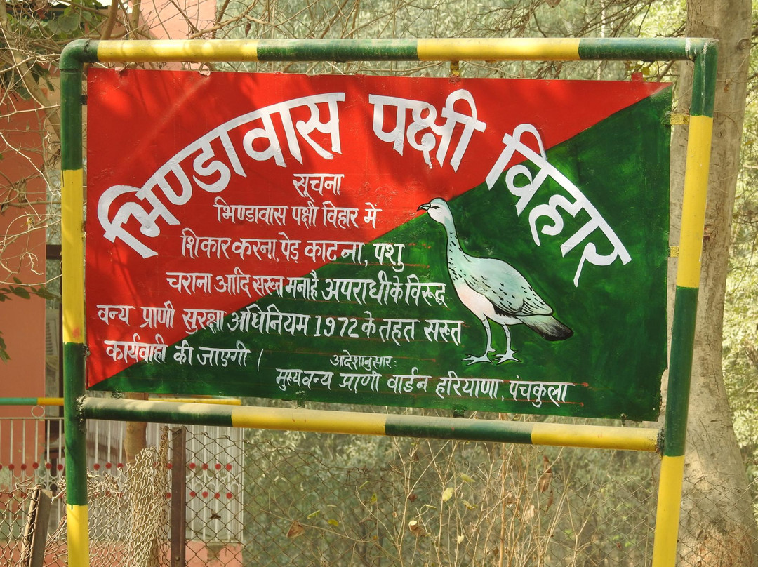 Bhindawas Wildlife  Sanctuary景点图片