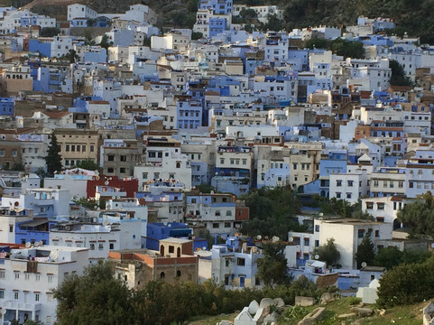 Desert Lark-非斯必去景点