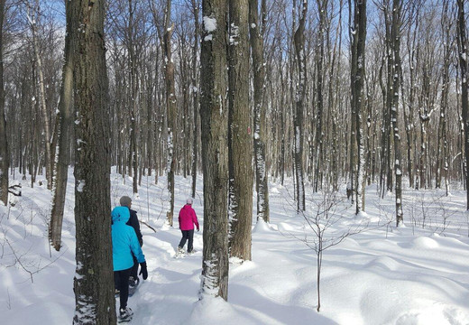 Xtreme Adventures-科林伍德必去景点