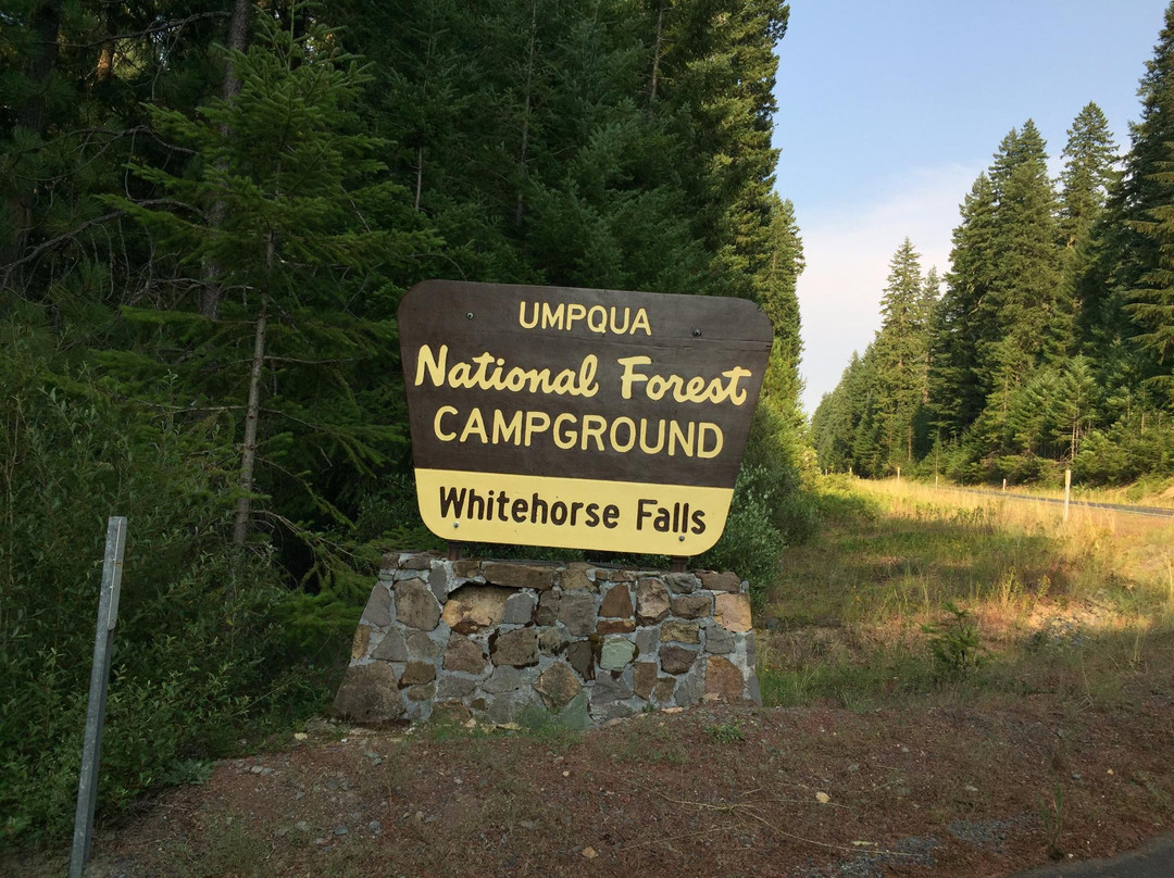 Whitehorse Falls景点图片